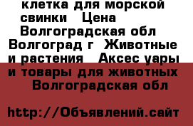 клетка для морской свинки › Цена ­ 1 200 - Волгоградская обл., Волгоград г. Животные и растения » Аксесcуары и товары для животных   . Волгоградская обл.